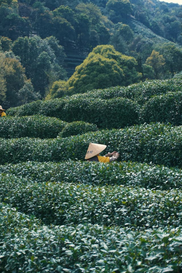 Hangzhou, China