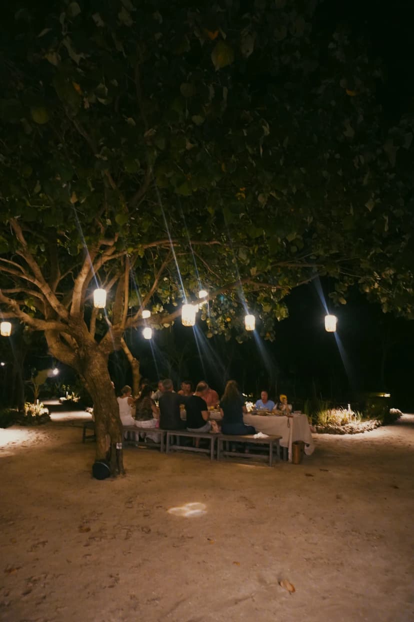 A dinner table under hanging lights and trees at Cap Karoso